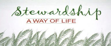 stewardship